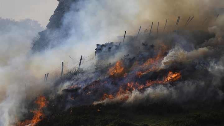 Incendio forestal en Cantabria / EFE