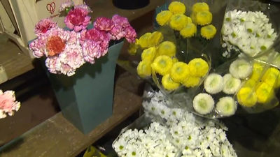 ¿Cuáles son las flores favoritas para llevar a los cementerios?