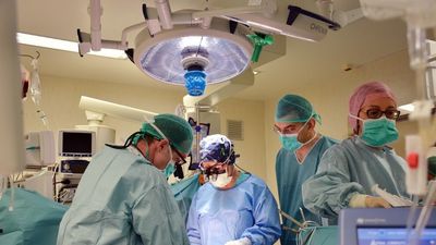 Investigadores españoles descubren un factor clave que protege el corazón tras un infarto