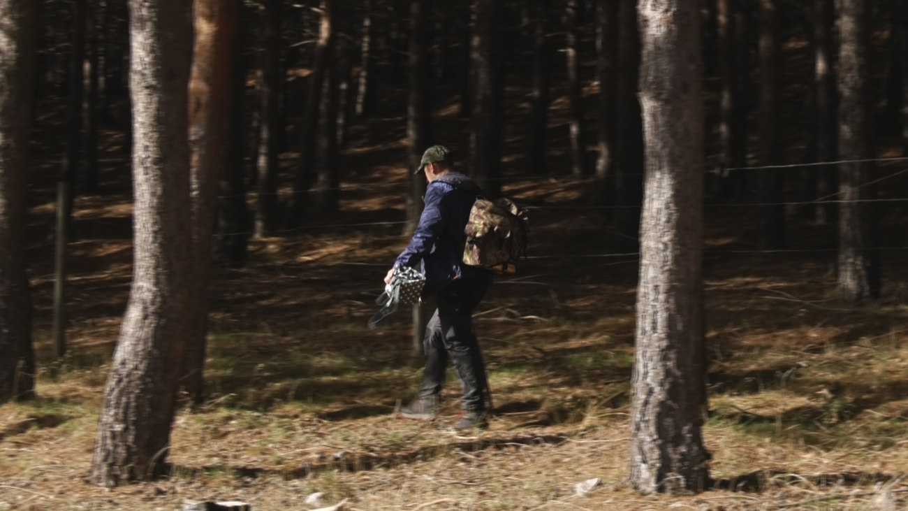 Multas de hasta 10.000 euros por recoger setas sin licencia en la Sierra de Guadarrama