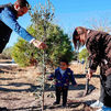 La iniciativa 'Bosque de la Vida' suma otros 300 árboles plantados en homenaje a los niños  nacidos en Pozuelo