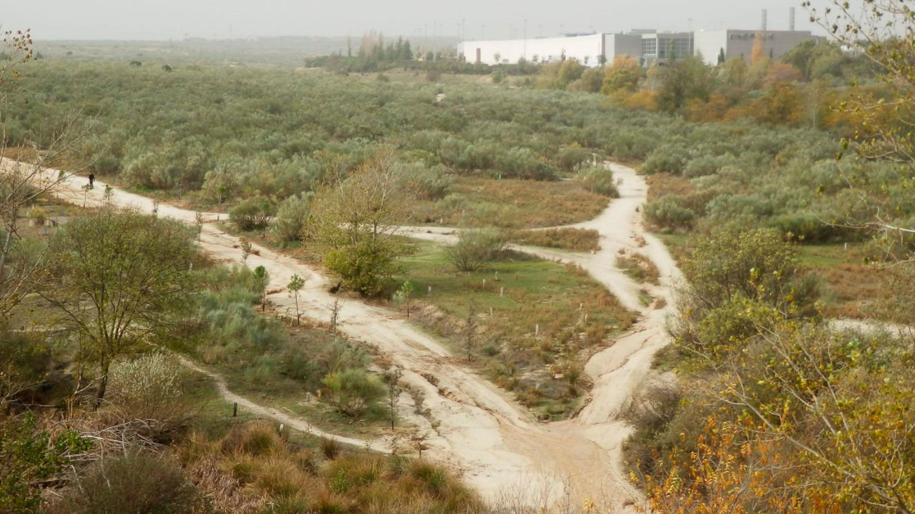 La Cañada Real se asienta sobre 14 kilómetros de extensión, divididos en seis sectores, que atraviesa los municipios de Madrid, Coslada y Rivas-Vaciamadrid