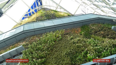 El jardín vertical más alto de Europa está en Madrid