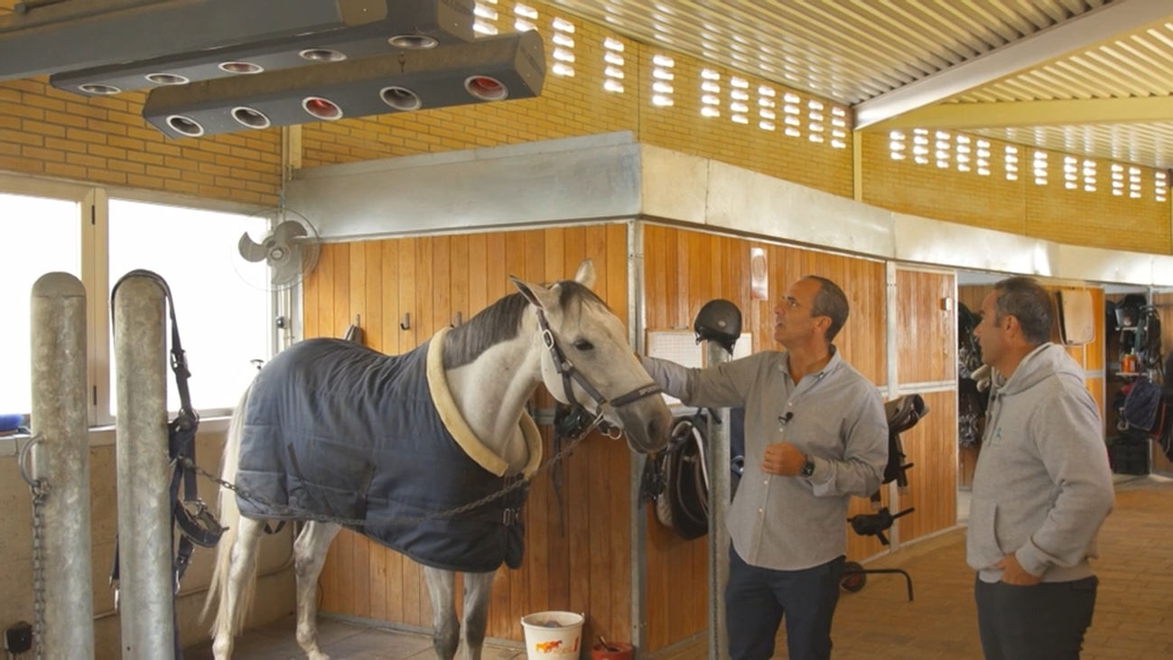La Yeguada Anantara, unas instalaciones de lujo para cuidar a los mejores caballos