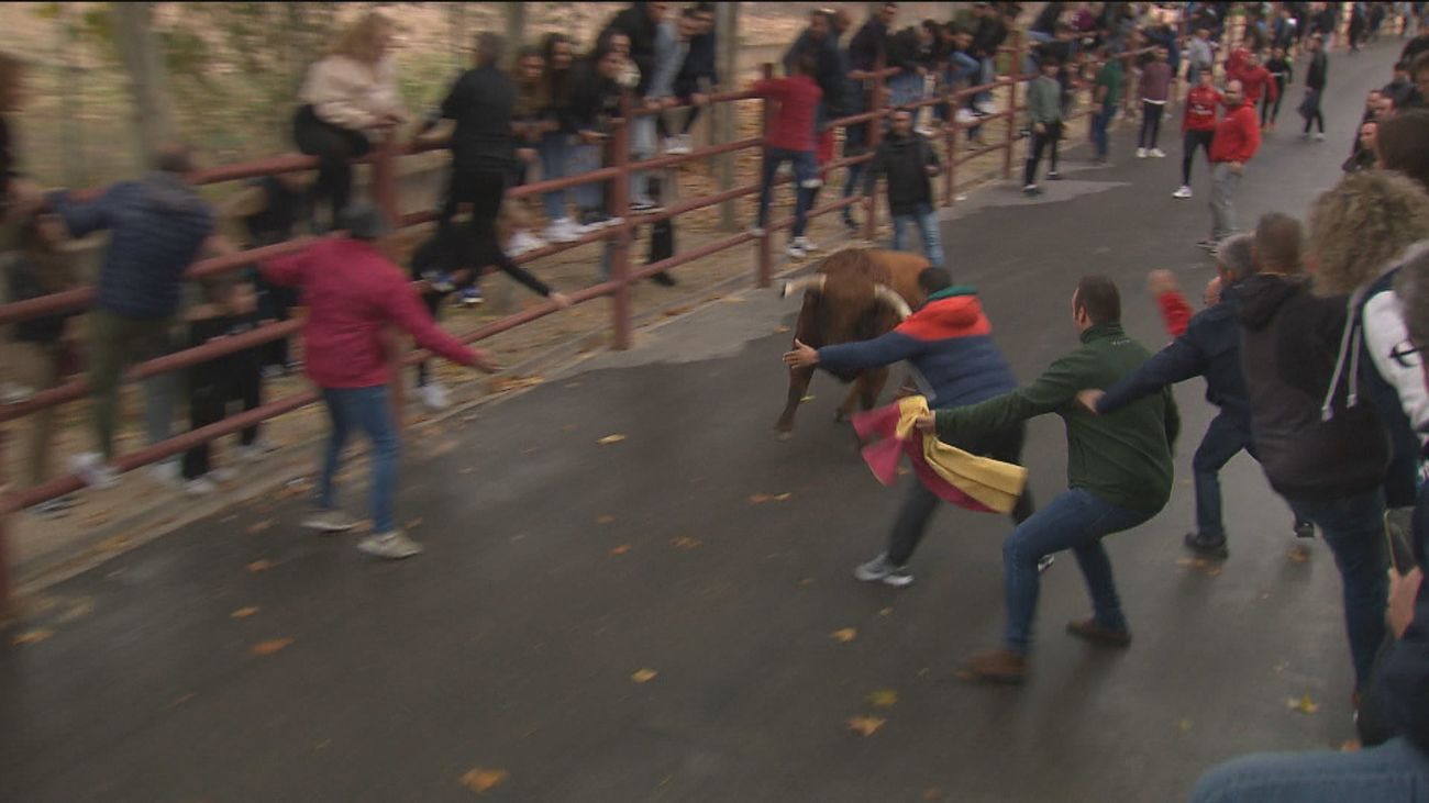 Valdilecha pone fin al ciclo de encierros populares en la Comunidad de Madrid