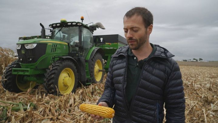 Campo de maíz en Iowa / Redacción