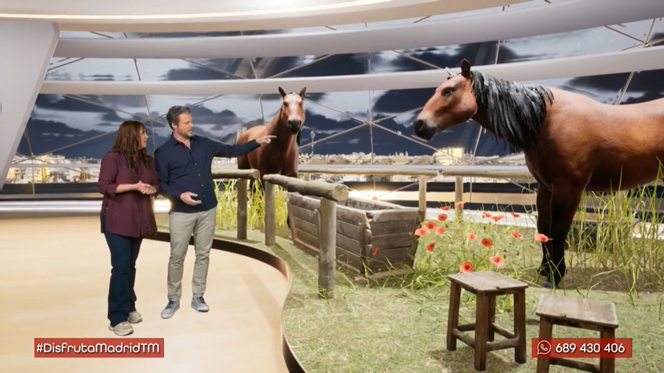 Un oficio en contacto con la naturaleza: herrador de caballos