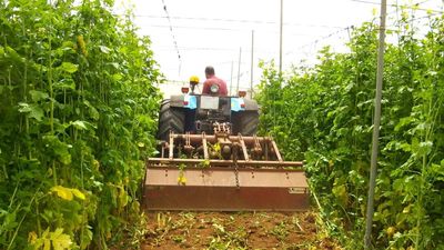 El sector agrario, “preocupado” por el paro de transportistas