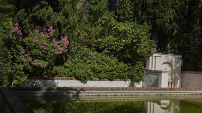 Tiempo en Madrid: alerta en los parques por el fuerte viento