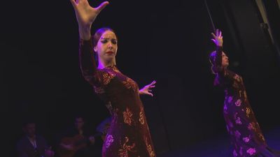 El flamenco recupera el pulso gracias al apoyo del público