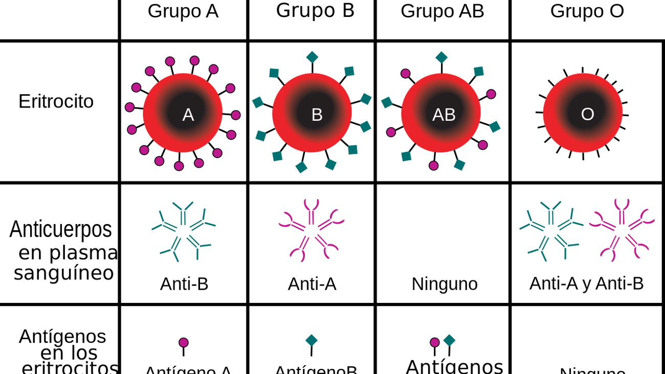 Grupos sanguíneos A, B, AB y 0