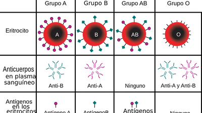 El grupo sanguíneo puede predecir el riesgo de contraer una enfermedad viral, según un estudio
