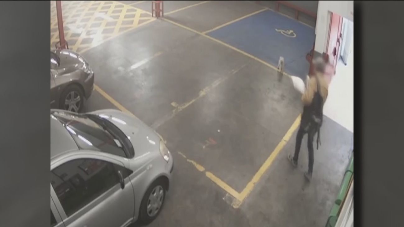 Sucesos Madrid: roba un perro en un supermercado mientras su dueña hacía la compra