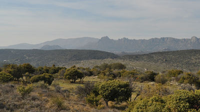 Un maratón para descubrir la biodiversidad de Torrelaguna