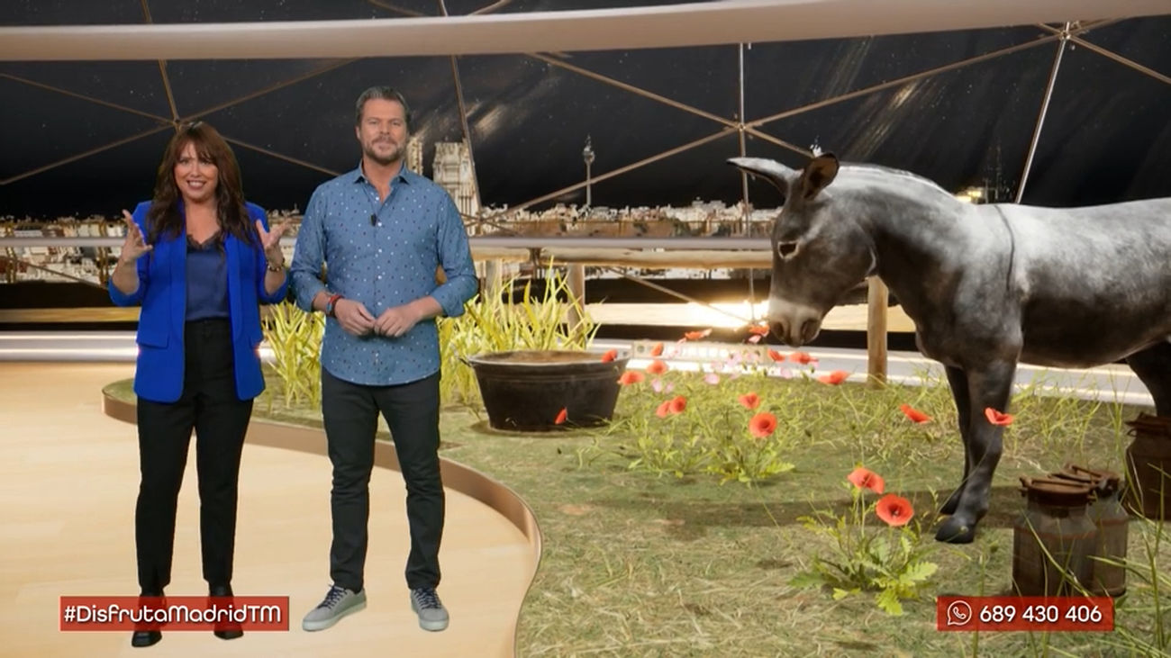 Disfruta Madrid 20.11.2022