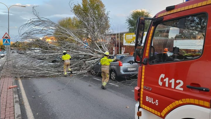 Los bomberos retiran el arbol / @alcorconbombero