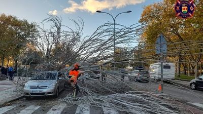 El tren de borrascas llega a Madrid con rachas de viento de hasta 90 kilómetros por hora