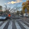 El tren de borrascas llega a Madrid con rachas de viento de hasta 90 kilómetros por hora