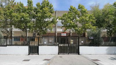 Alcorcón revisará árboles de todos los colegios tras resultar herida una niña