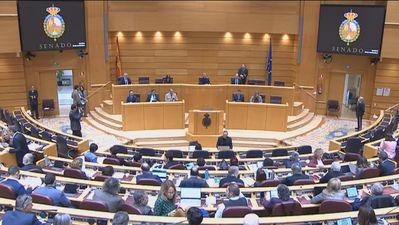 El Senado rechaza la moción del PP para reformar de urgencia la ley del sí es sí