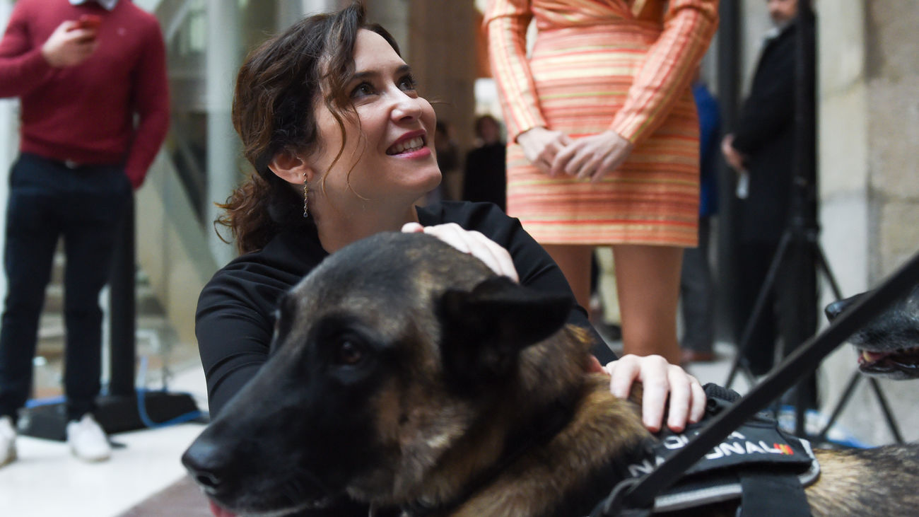 La presidenta de la Comunidad de Madrid, Isabel Díaz Ayuso, acaricia un perro