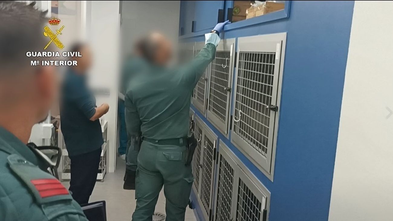 Detenida en Madrid una falsa veterinaria que ejercía sin titulación