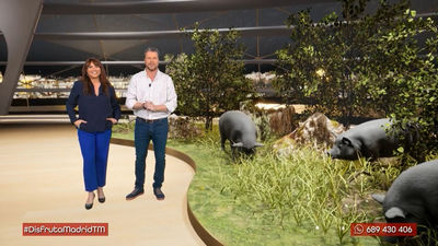 Un jamón de pata negra: Cerdo ibérico en plena Comunidad de Madrid