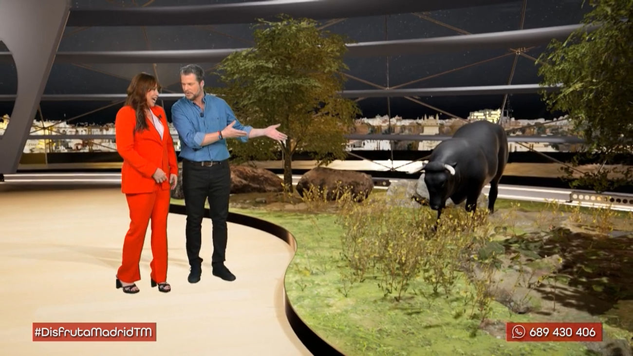 Todo lo que siempre quisiste saber sobre el toro de lidia