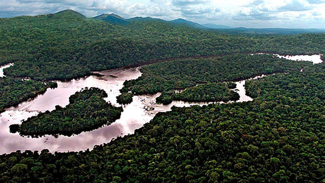 Vista aérea de una zona boscosa de Camerún