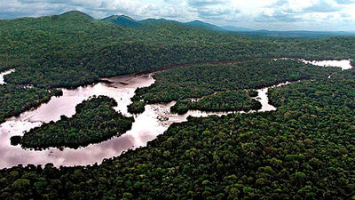 14 muertos por un corrimiento de tierras en Camerún mientras asistían a un funeral