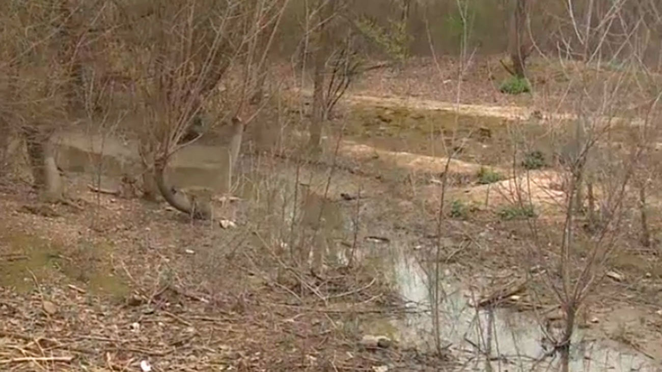 Ecologistas denuncian  la contaminación del río Jarama con un 'paseo de los horrores'
