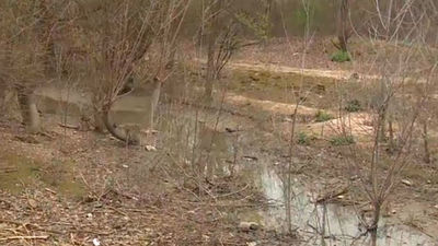 Ecologistas denuncian  la contaminación del río Jarama con un 'paseo de los horrores'