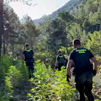Diez detenidos por cultivar más de 44.000 plantas de marihuana en el Pirineo