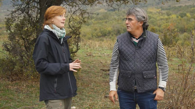 Un paseo por la envidiable naturaleza de Prádena del Rincón