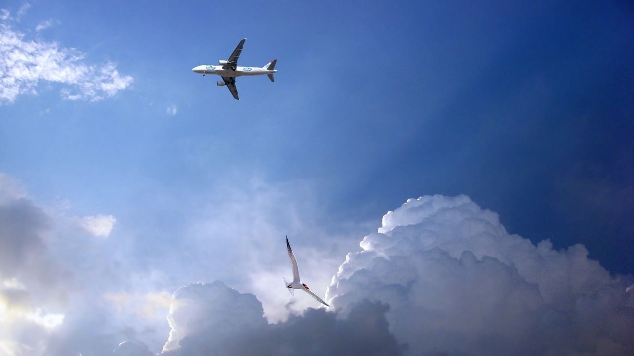 De Madrid al cielo... sin activar el modo avión