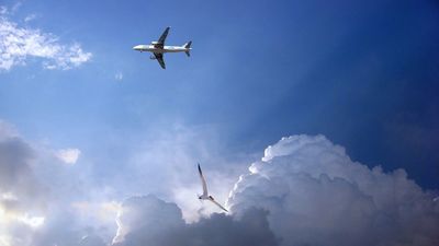 De Madrid al cielo... sin activar el modo avión