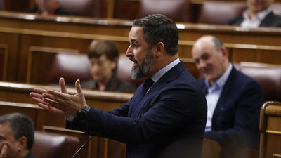 Abascal insiste en llamar en el Congreso "filoetarras" a los socios del Gobierno