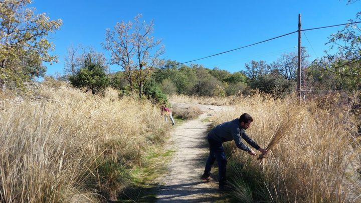 Una fachada para traer la Naturaleza al centro de Madrid
