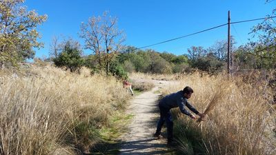 Una fachada para traer la Naturaleza al centro de Madrid