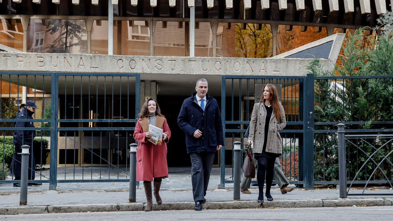 Vox recurre al Tribunal Constitucional por la Ley del 'solo sí es sí' de Montero