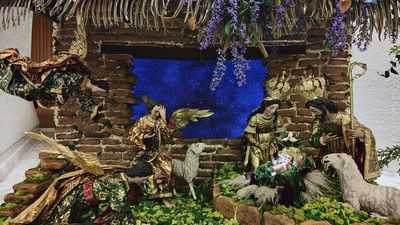 El Vaticano inaugura su belenes y enciende su árbol de Navidad