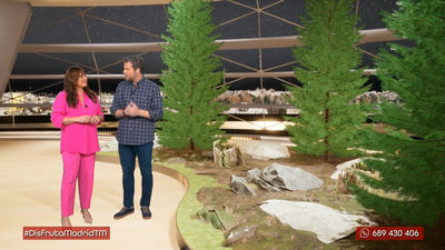 Disfruta de una Navidad respetuosa con el medioambiente con los abetos de los estudiantes de Ciudad Universitaria