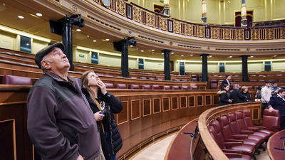 Miles de madrileños acuden a la jornada de puertas abiertas del Congreso