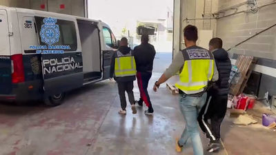 14 detenidos de una banda internacional de cultivo y tráfico de marihuana