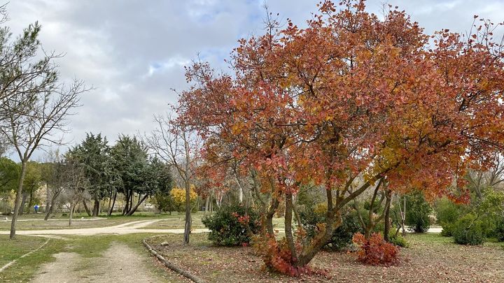 Jardín botánico / PAULA SERRANO