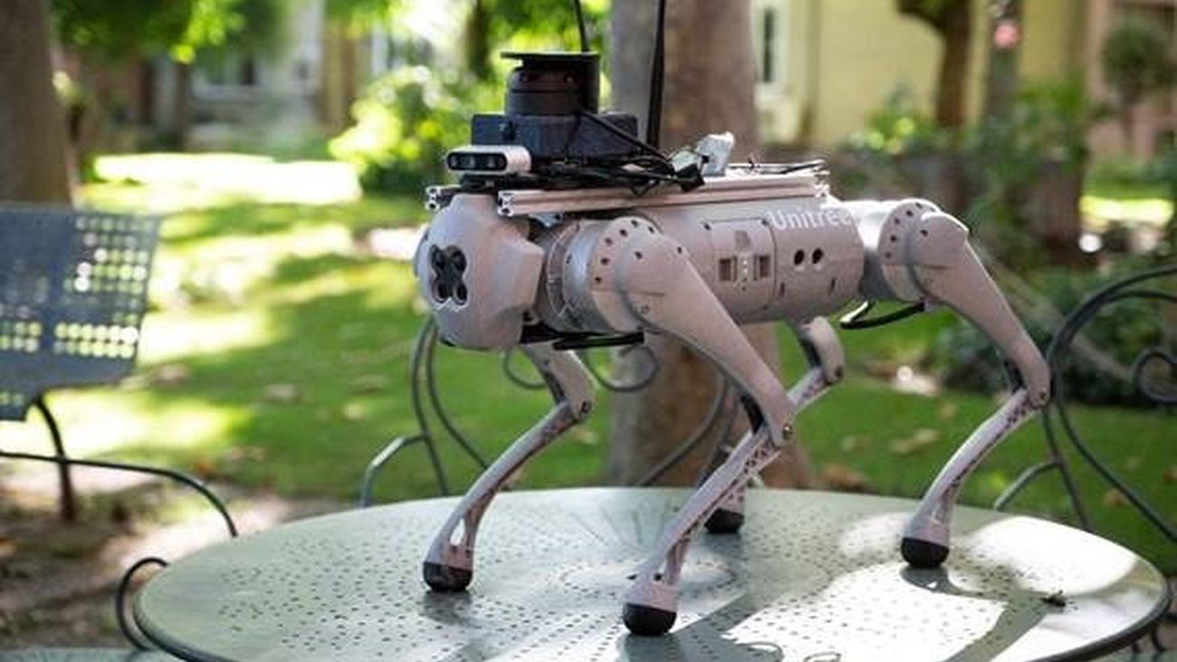 Investigadores españoles crean un perro-robot conectado a Google para ayudar a personas dependientes
