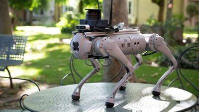Investigadores españoles crean un perro-robot conectado a Google para ayudar a personas dependientes