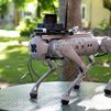 Investigadores españoles crean un perro-robot conectado a Google para ayudar a personas dependientes
