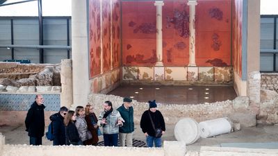 Reabre la Casa de los Grifos de Alcalá tras los trabajos de excavación y restauración