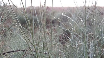 Probabilidad baja de precipitaciones y temperaturas en aumento para este martes en Madrid